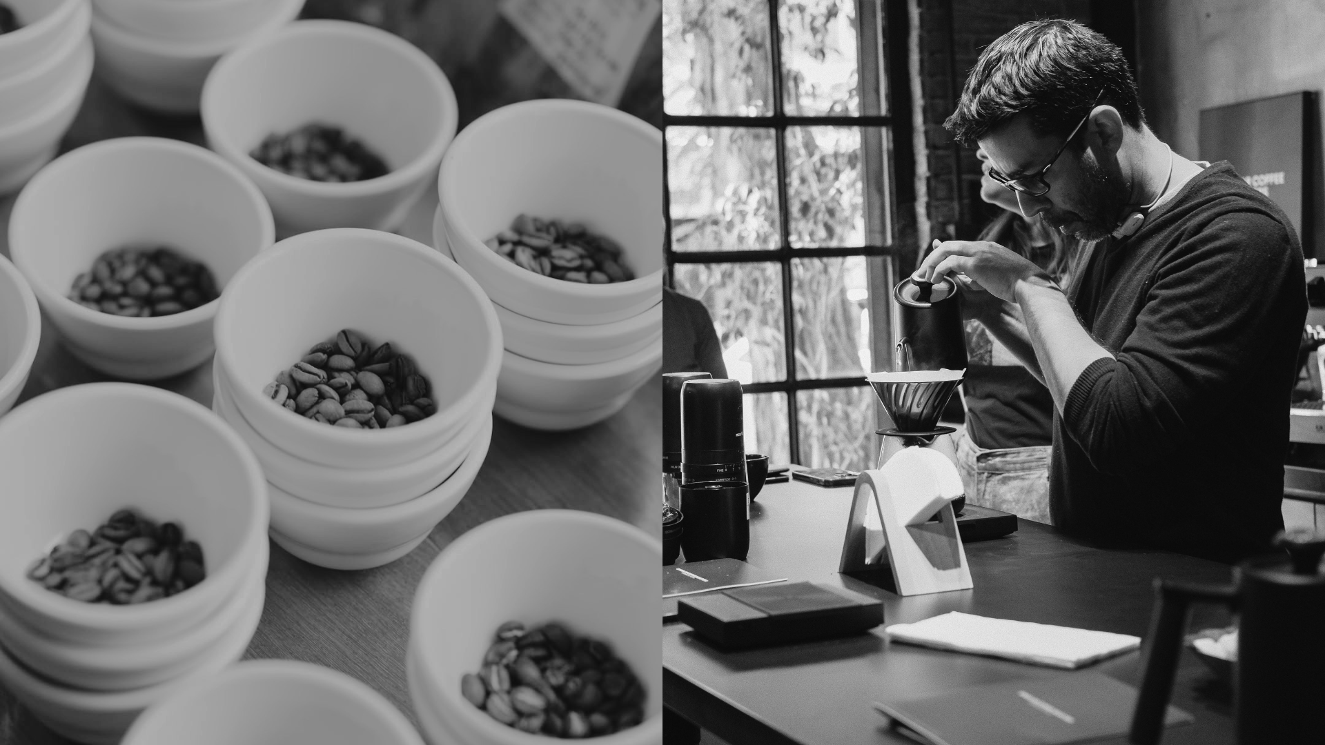 Singular Coffee Academy