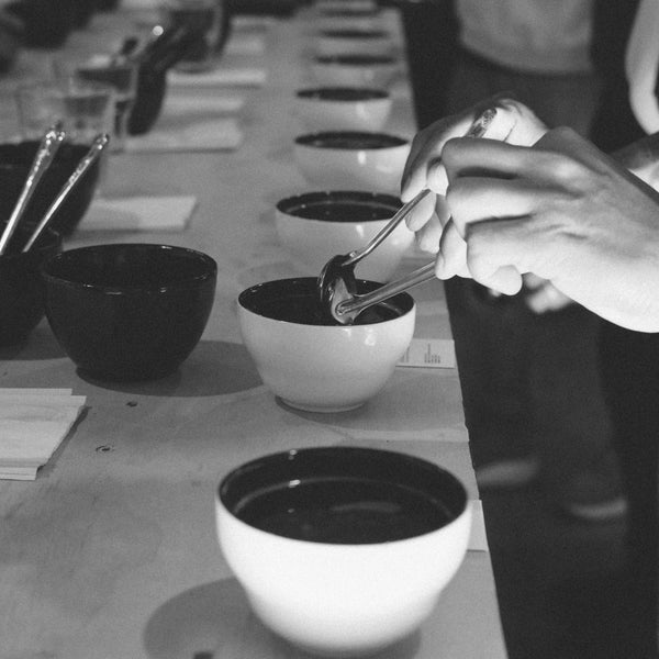 Sesión de Cata en Singular Coffee