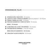 Taller de Filtrado - Método V60