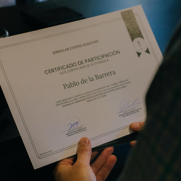Taller de Filtrado - Método V60